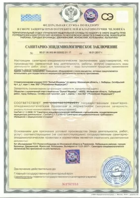 Белый медведь