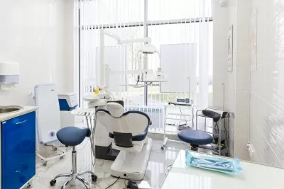 Белый медведь