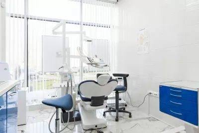 Белый медведь