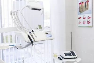 Белый медведь