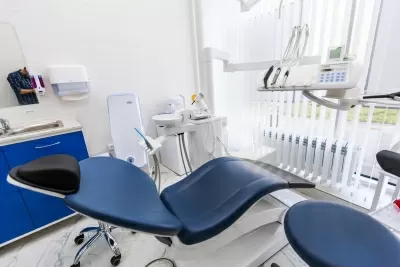 Белый медведь