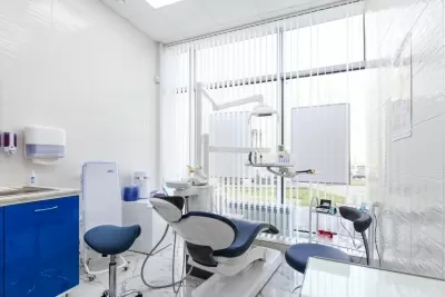 Белый медведь