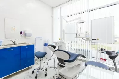 Белый медведь