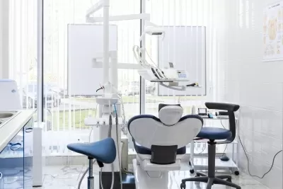 Белый медведь