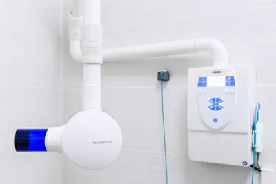 Белый медведь