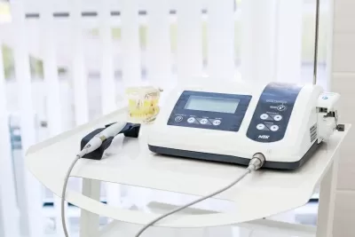 Белый медведь