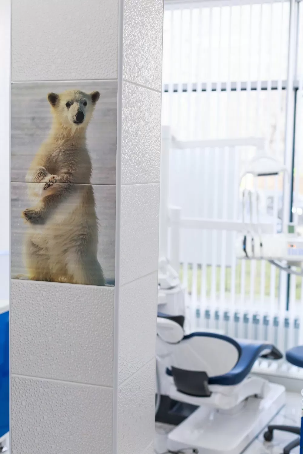 Белый медведь