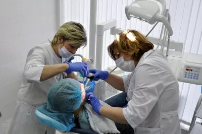 Белый медведь