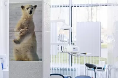 Белый медведь