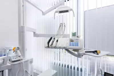 Белый медведь