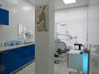 Белый медведь