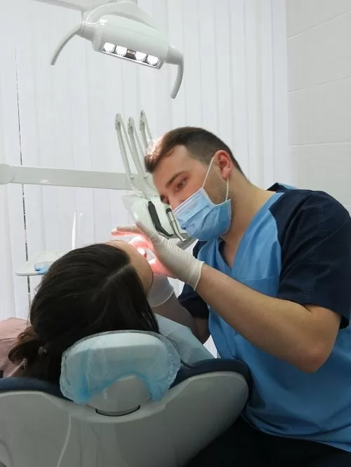 Белый медведь