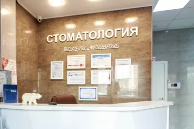 Белый медведь