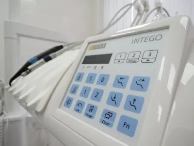 Белый медведь