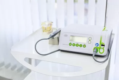 Белый медведь