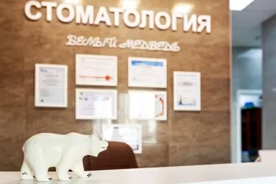 Белый медведь