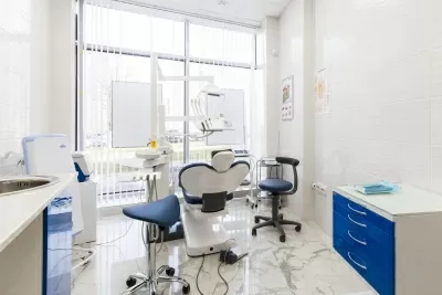 Белый медведь