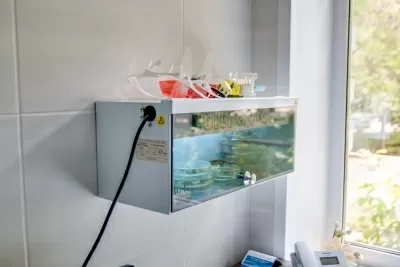 Жемчужные зубки