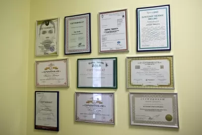 Мой Дантист