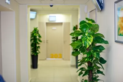 Будь Здоров