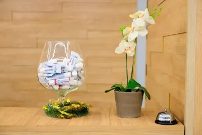 Стоматологическая клиника Зубр