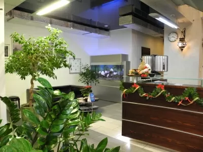 Один к одному