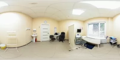 Московский доктор