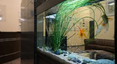 Стоматологическая клиника Личный доктор