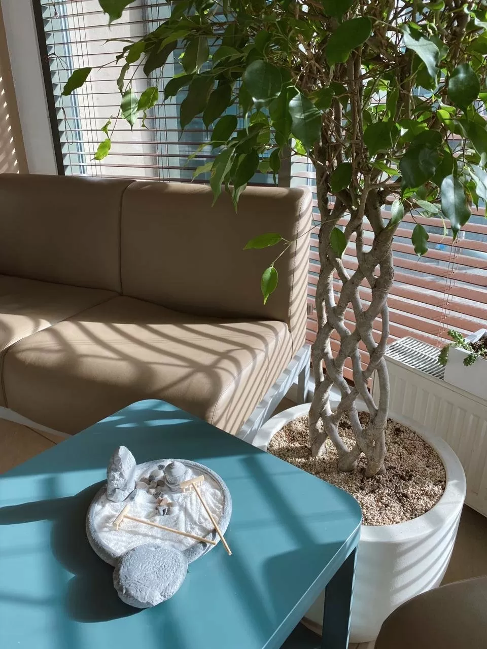 Семь докторов