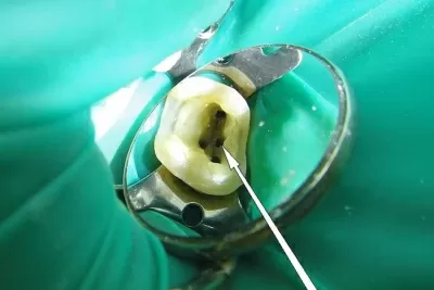 ПарнасДент