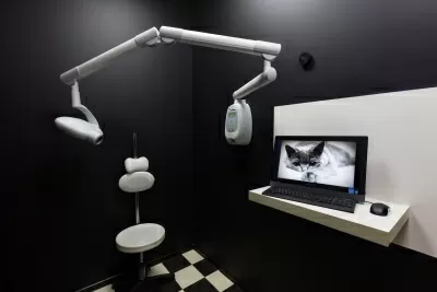 Профессиональная стоматология NOVIKOVSKI