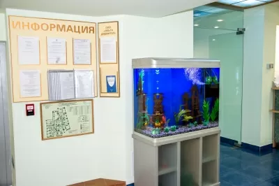 Стоматология Ольга