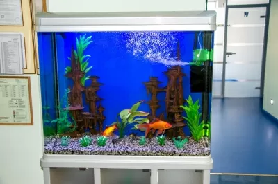 Стоматология Ольга