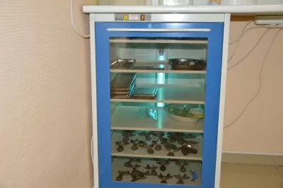 Стоматология Щелкунчик