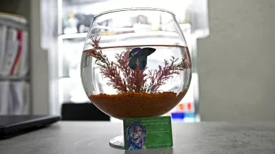 DS 32 Dental Station