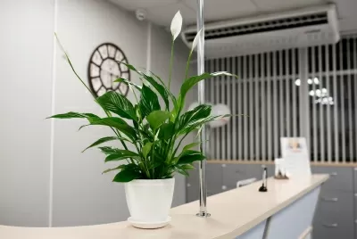 Стоматологический центр Стомакс