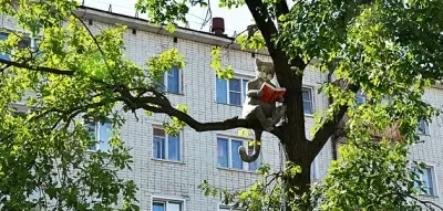 Стоматология 21 века