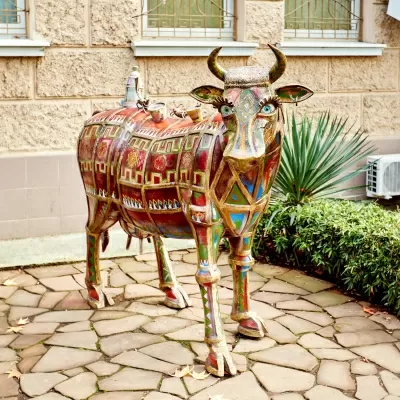 Мисс Стоматология