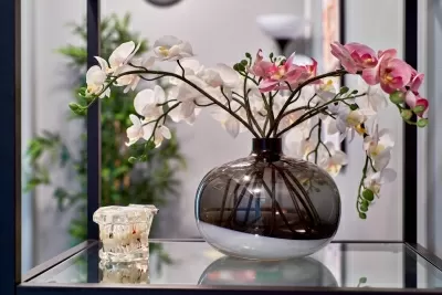 Первая стоматология