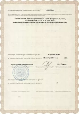 Мистер президент