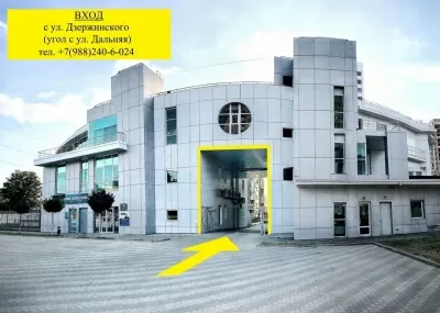 Птичка Тари