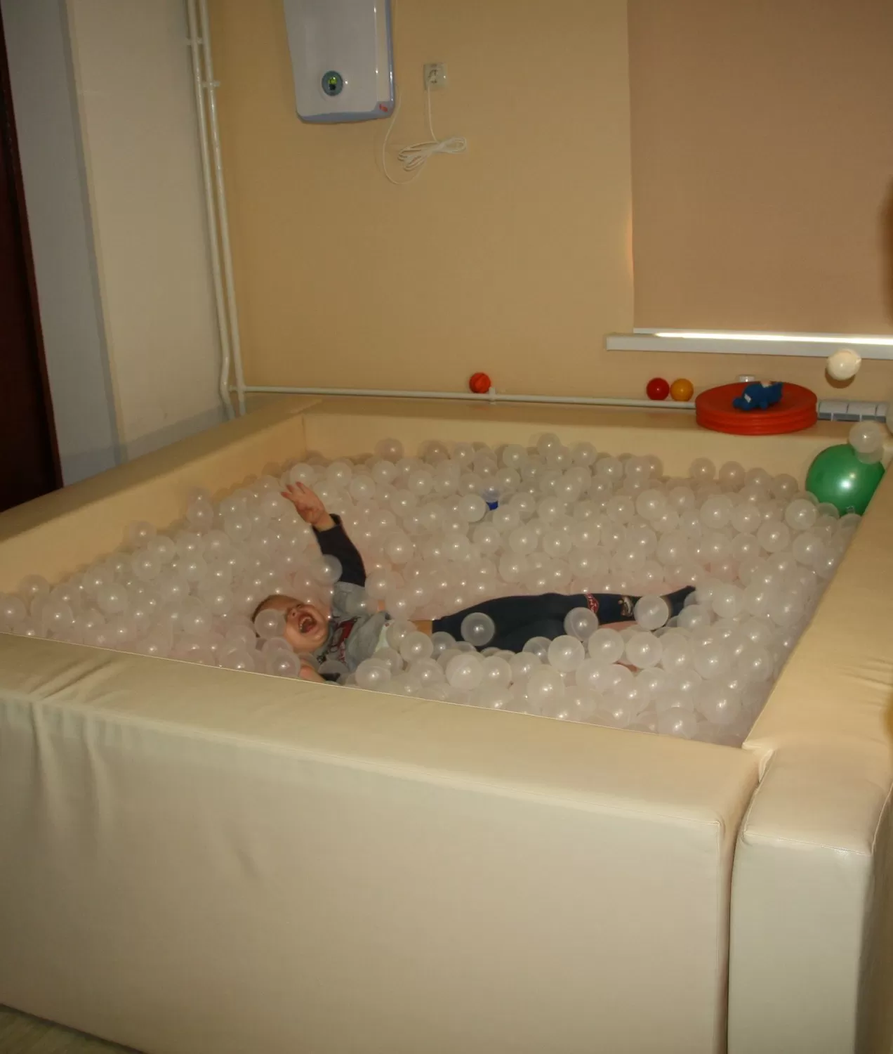 Научно-практический центр медико-социальной реабилитации инвалидов им. Л.И. Швецовой