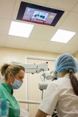 Стоматология Диал-Дент