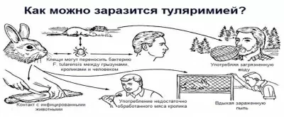 Городская поликлиника № 72