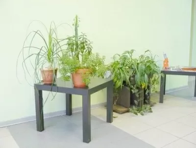 Стоматология Донави