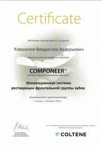 Коршунов Владислав Валерьевич