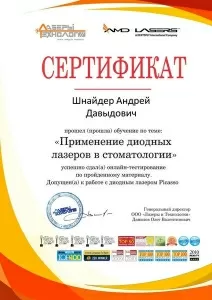 Шнайдер Андрей Давыдович