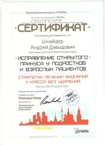 Шнайдер Андрей Давыдович