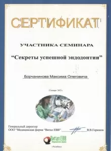 Борчанинов Максим Олегович