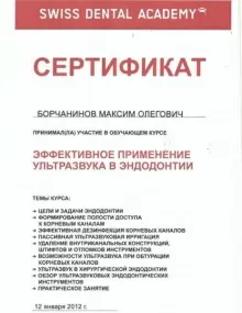 Борчанинов Максим Олегович